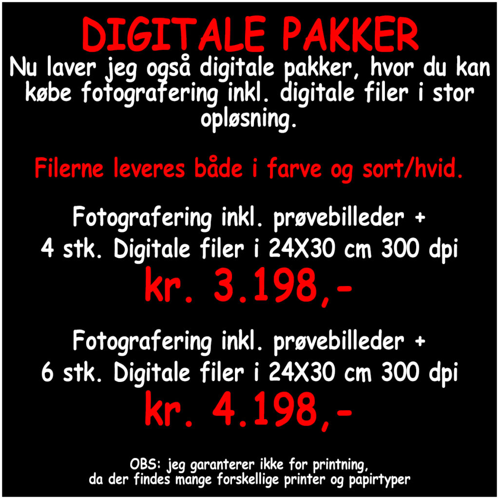 Fotograf i Aarhus Viby Birgit Skou Fotografi Portræt Familie Børne Baby Søskende Newborn Profil Billeder