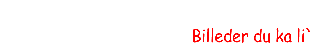 birgitskoufotografi